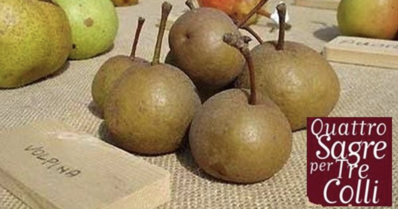 Sagra della Pera Volpina e del Formaggio stagionato